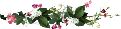 0 80aa4 e6887eee orig