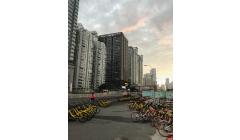 IMG 0316