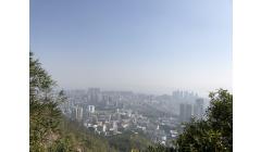 IMG 0448