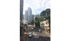 IMG 0817